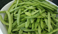 Haricot vert plat - bio