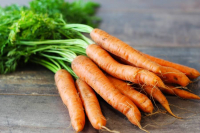 Botte de carottes (la pièce)