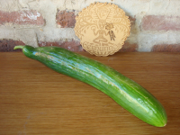 Concombre long