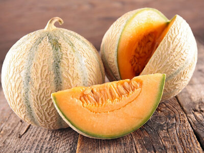 Melon bio