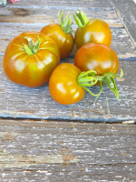 Tomates noires de crimée