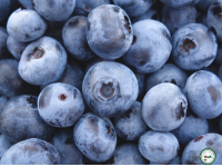 Myrtille-125g (haute loire)