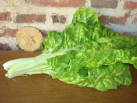 Jeunes feuilles de blette