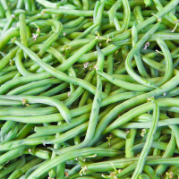 Haricot vert + violet