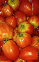 Tomates bio pour coulis en cagette 5 kg