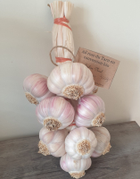 Tresse manouille ail rose du tarn