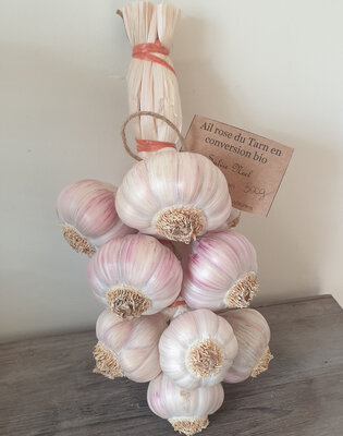 Tresse manouille ail rose du tarn