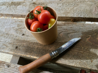 Grosse tomate cerise / tomate cocktail