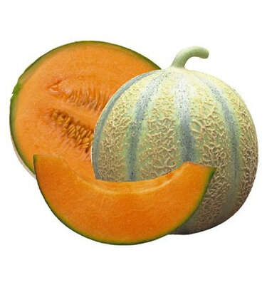 Melon charentais