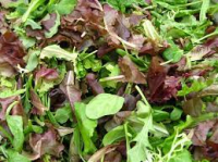 Mesclun