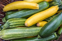 Courgette a farcir