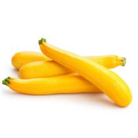 Courgette jaune bio