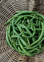 Haricots verts