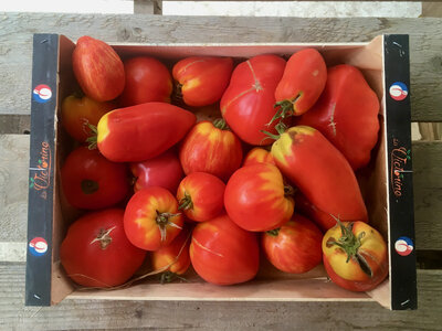 Caisse de tomate coulis