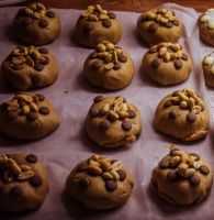 Le carahuète de la libraire'thé