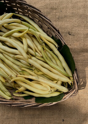 Haricots beurre