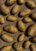 La joconde des pommes de terre