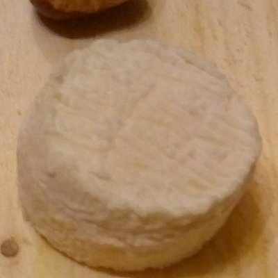 Sec : deux crottins de chèvre, bio