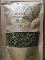 Sauge officinale