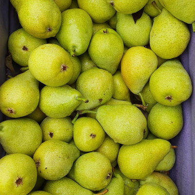 Poire