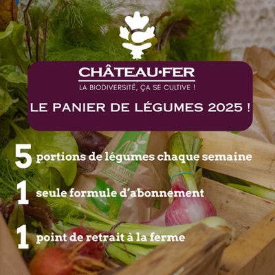 Panier légumes 3 kgs