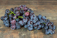 Raisin muscat de ambourg bio