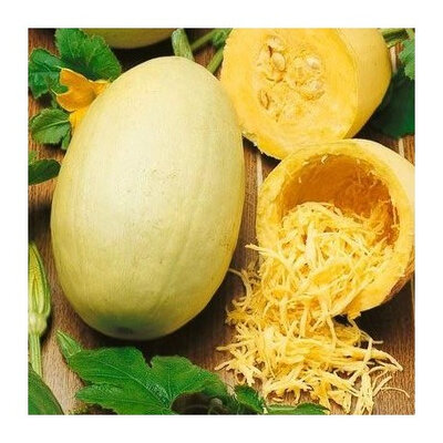 Courge spaghetti 🍝