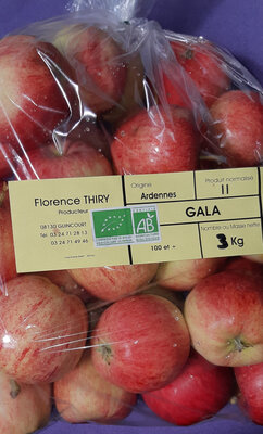 Pomme gala en sac de 3 kg