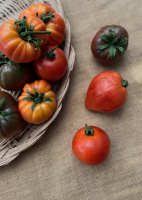 Tomate - moyenne en mélange