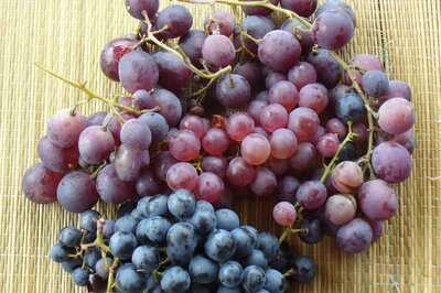 Raisin en mélange