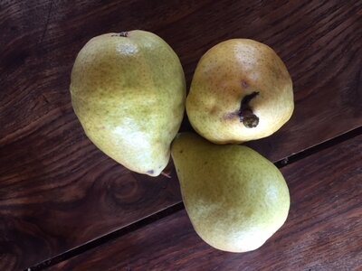 Poires-1kg