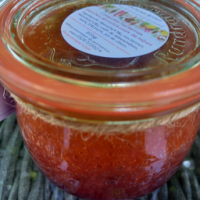 Nectarines et abricots sur coulis de mûres