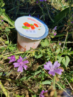 Yaourt à l' unité au coquelicot