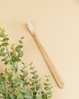 Brosse à dents en bois de hêtre pour adulte