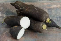 Radis noire long bio