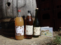 Différents jus de pomme selon la variété