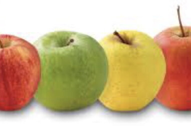 Pommes ramassées cagette 5kg