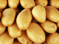 Pommes de terre mona lisa filet de 5 kg