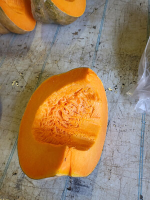 Courge muscade