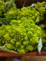 Chou romanesco