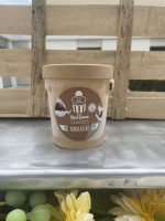 Sorbet chocolat lait