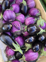 Aubergine-[COPIE A MODIFIER]