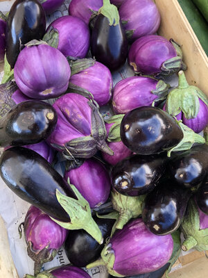 Aubergine-[COPIE A MODIFIER]