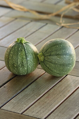 Courgettes rondes bio