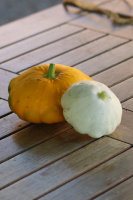 Patisson blanc ou jaune bio