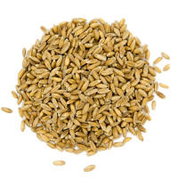 Petit épeautre décortiqué d'auvergne