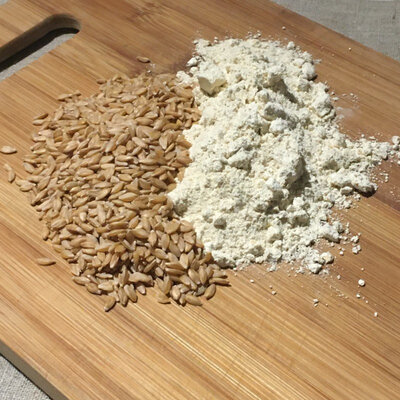 Farine petit épeautre t80 - 1kg