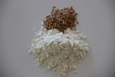 Farine grand épeautre t80 - 1kg