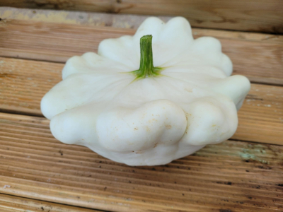 Pâtisson blanc