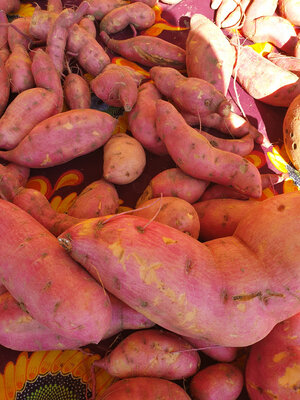 Patates douces roses